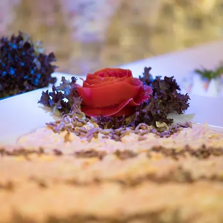 Хотел тарсис клуб хотел - ол инклузив 4*